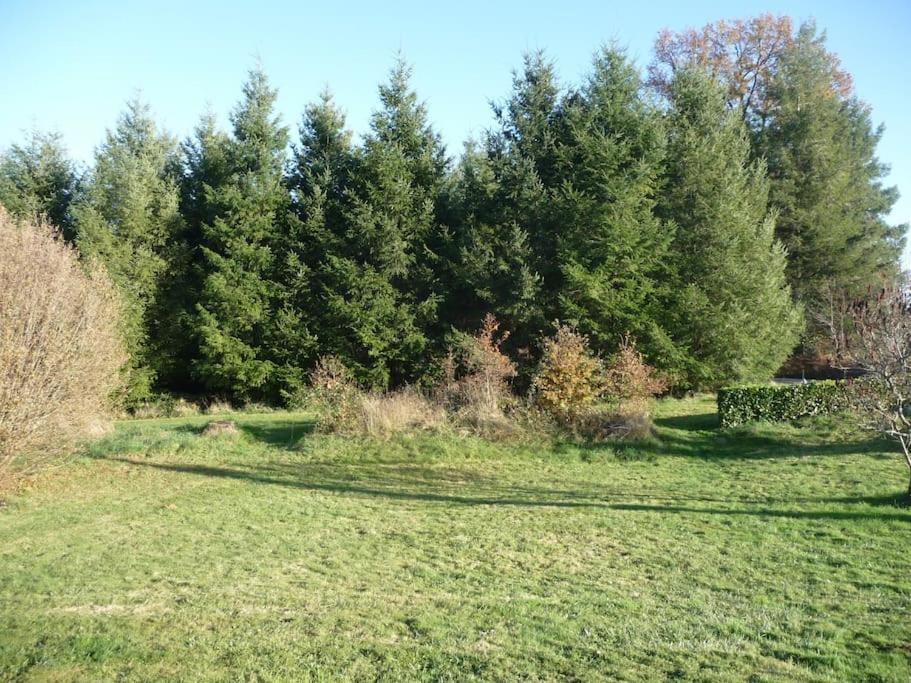 Gite Des Forces - Limousin - Haute Vienne Saint-Bazile Ngoại thất bức ảnh